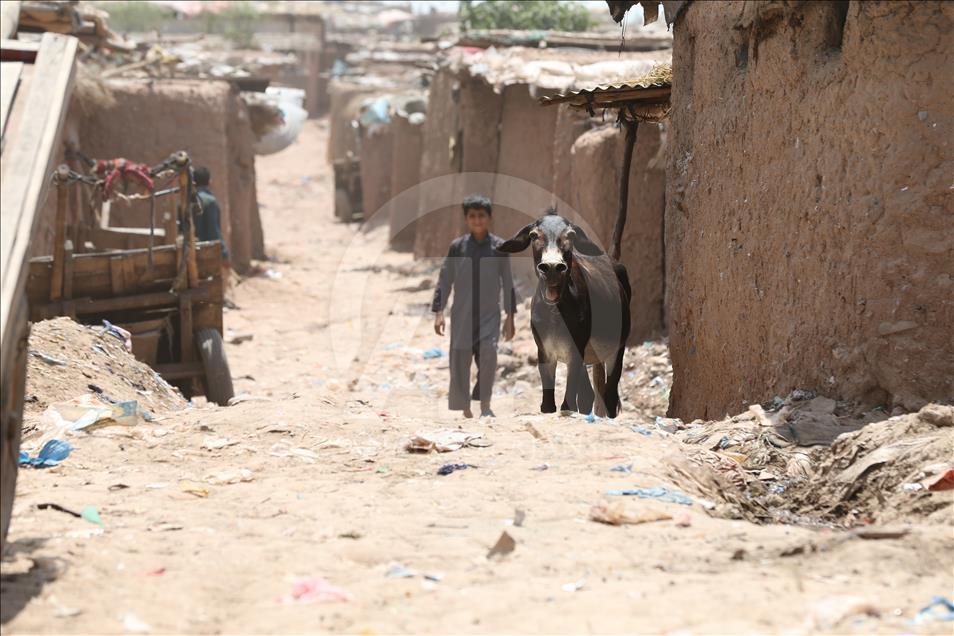 Afgan mültecilerin yükünü Pakistan sırtlanıyor