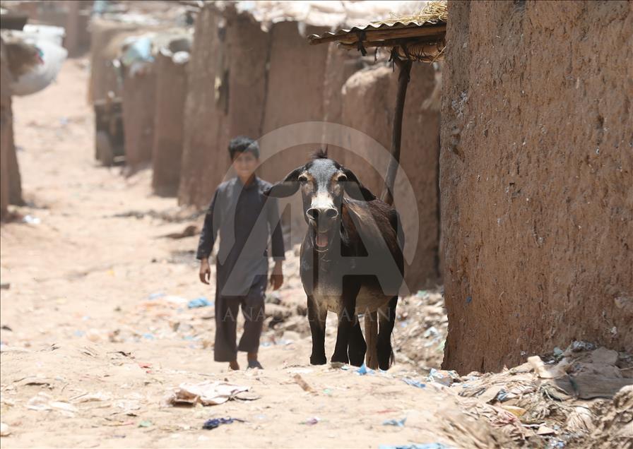 La vida de los refugiados afganos en Pakistán