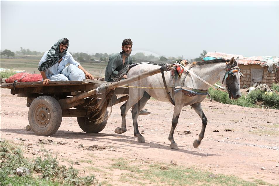 La vida de los refugiados afganos en Pakistán