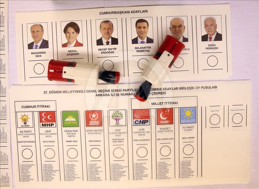 6 adımda oy kullanma rehberi