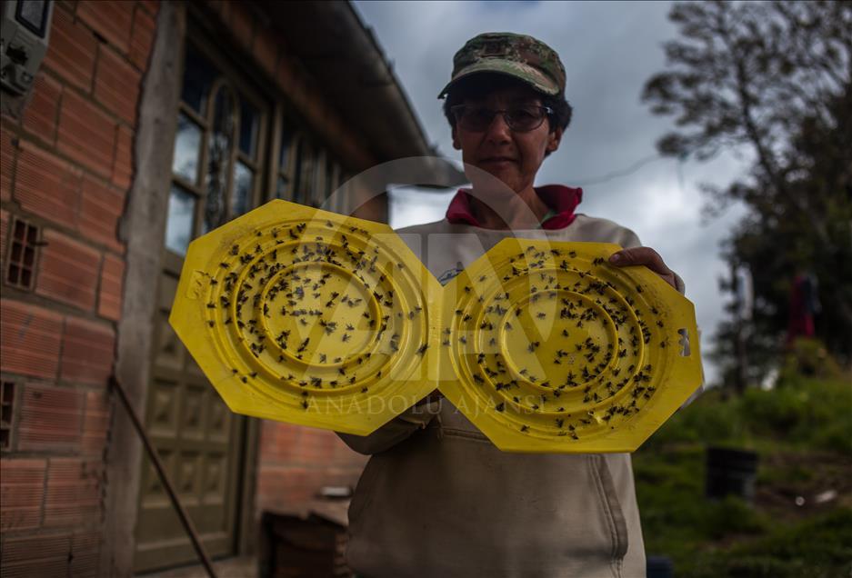 La vida entre las moscas cerca del relleno de Doña Juana, en Bogotá