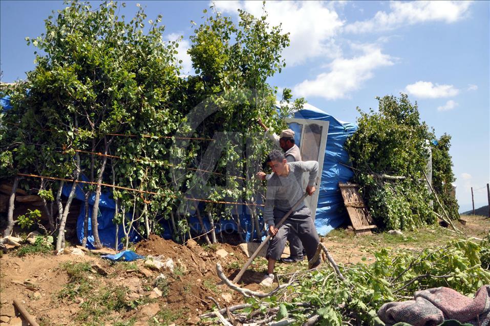 Terörden arındırılan yaylalar vatandaşın hizmetinde