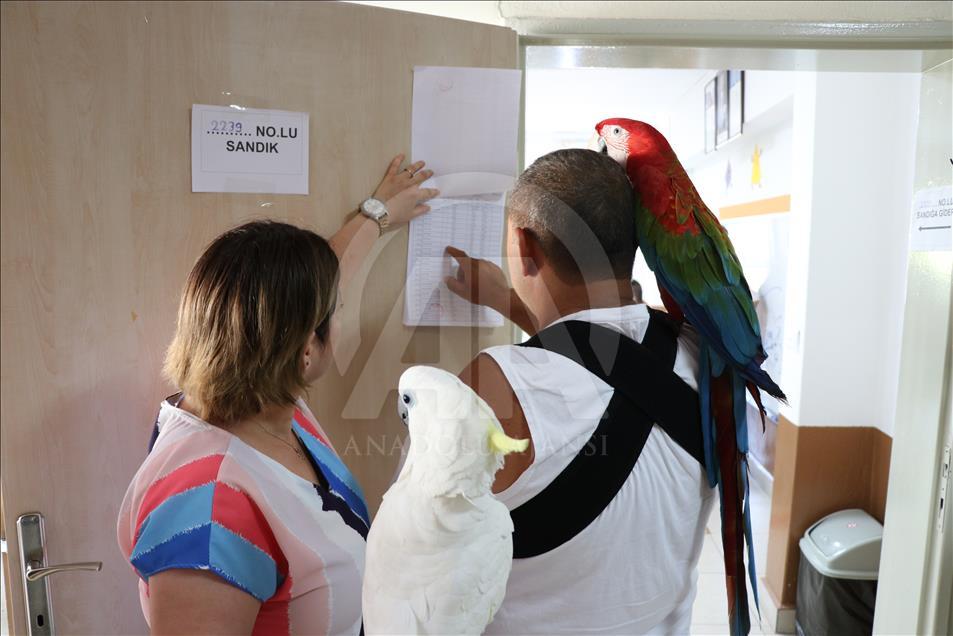 مشاهد من العرس الديمقراطي المتمثل بالانتخابات التركية
