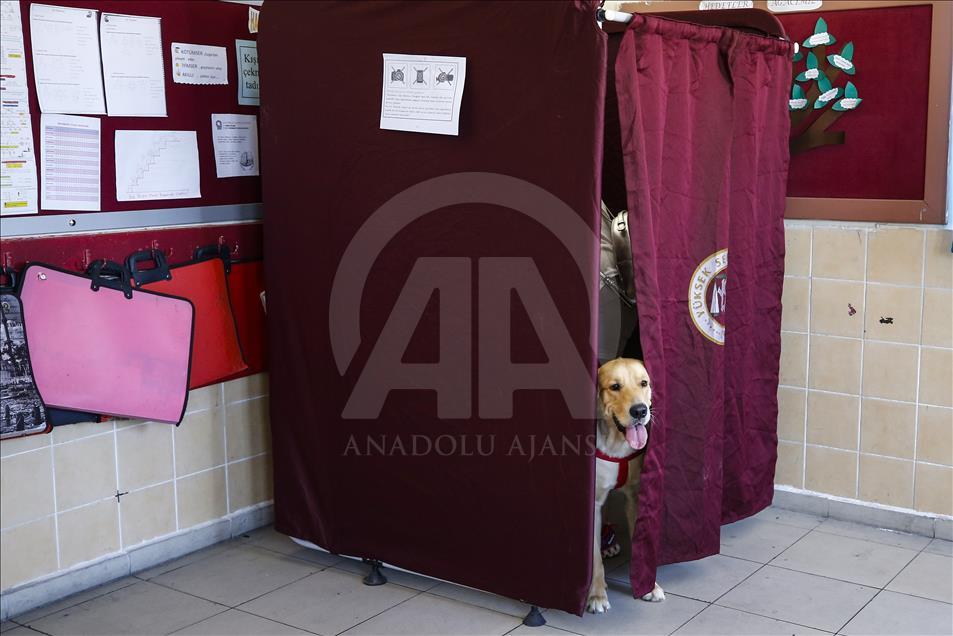 Voting begins for presidential and parliamentary elections in Turkey
