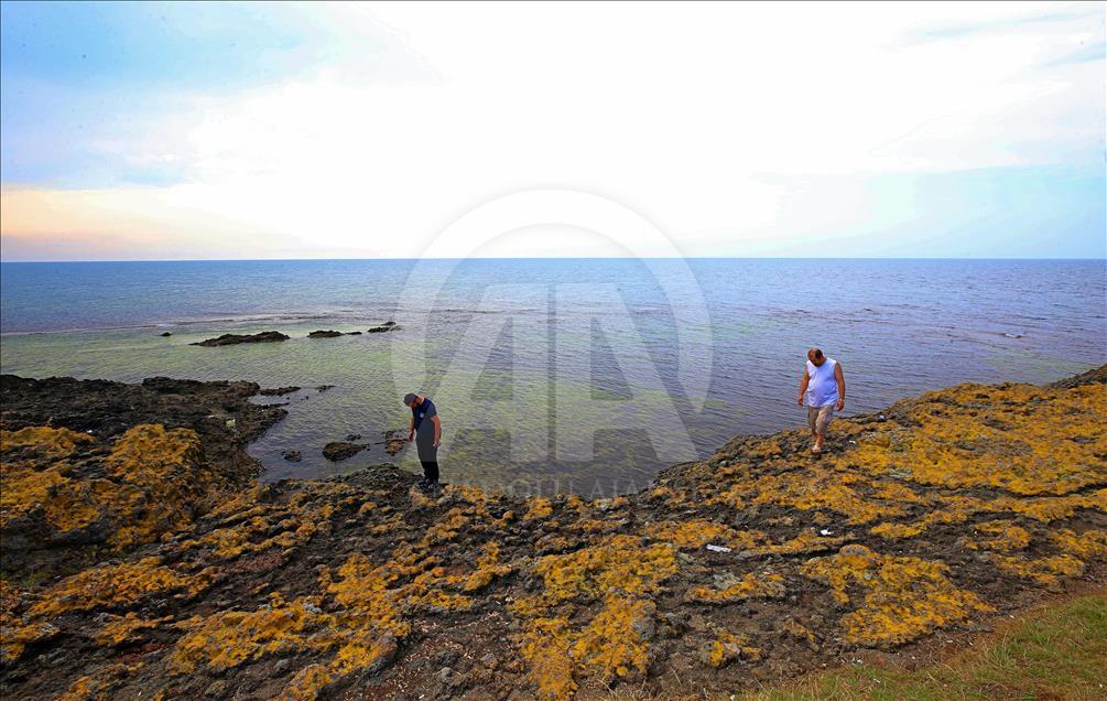 Cape Jason in Turkey's Ordu