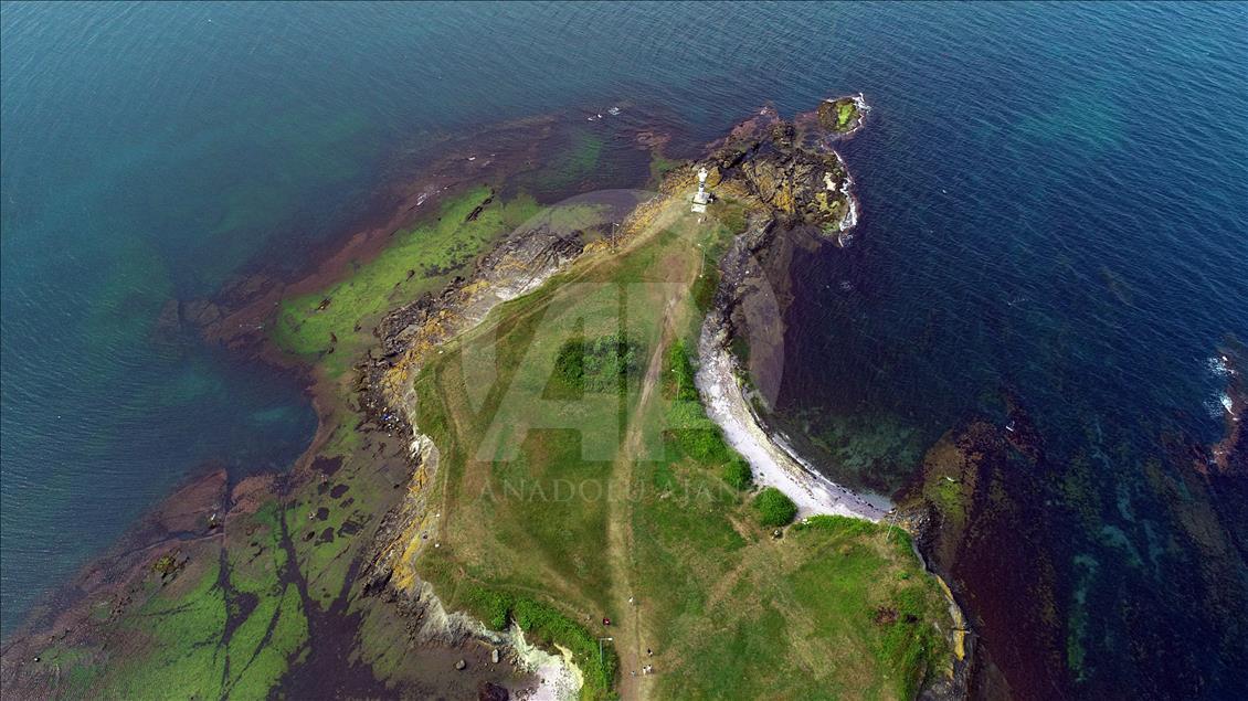 Cape Jason in Turkey's Ordu