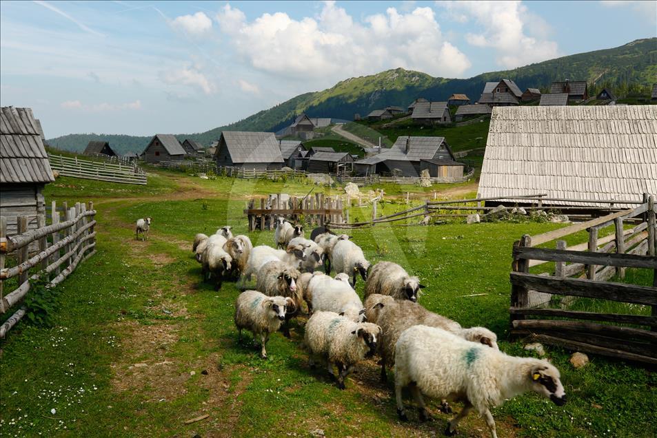 Bosna Hersek'in "saklı cenneti" Prokosko