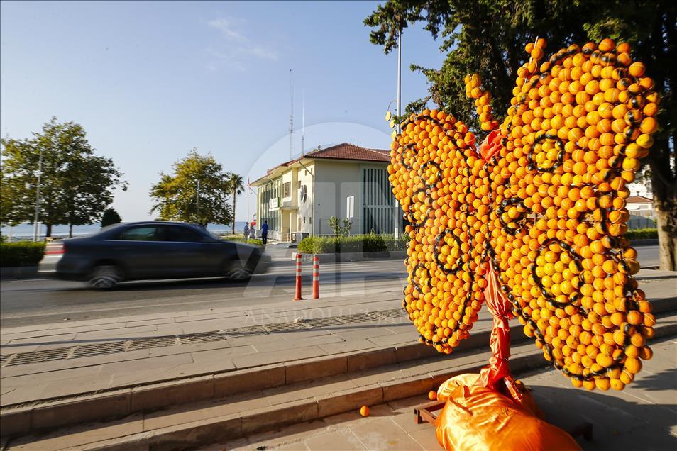 Finike'yi 50 ton portakaldan heykelle süslediler