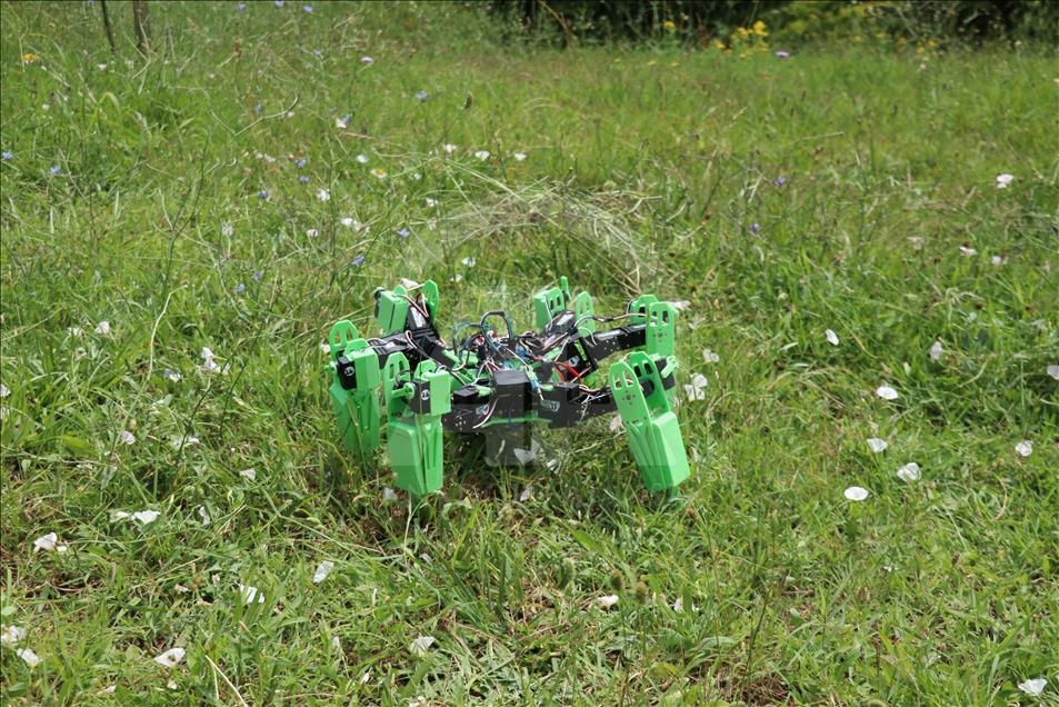 Askeri operasyonlar için örümcek robot geliştirdiler
