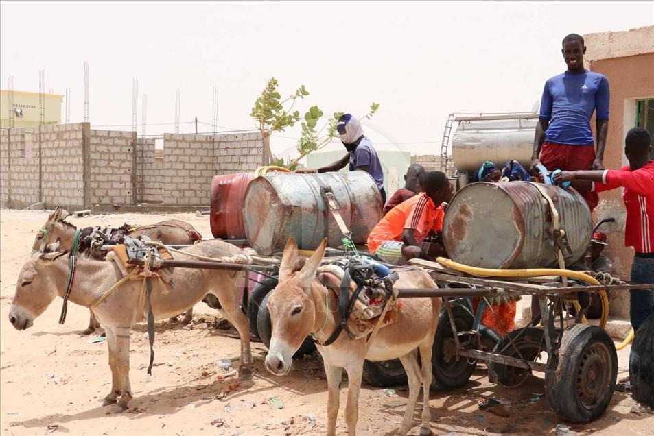 En la capital de Mauritania, Nuakchot, las personas deben esperar la llegada de un burro para beber agua
