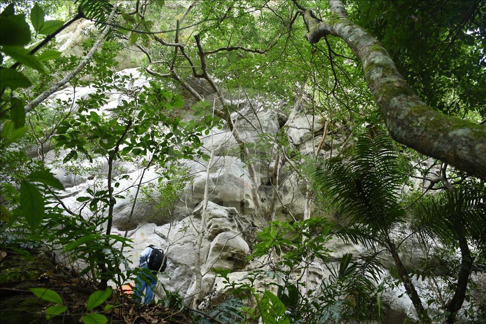 Ampliación del Parque Nacional Natural Serranía del Chiribiquete, en Colombia