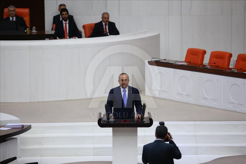 Dışişleri Bakanı Çavuşoğlu
