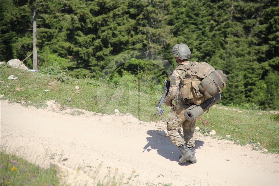 Giresun'da terör operasyonu