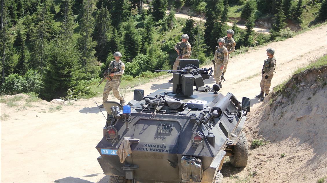 Giresun'da terör operasyonu