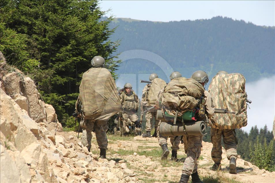 Giresun'da terör operasyonu
