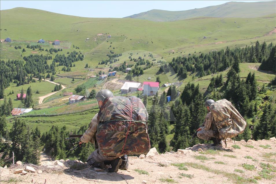 Giresun'da terör operasyonu