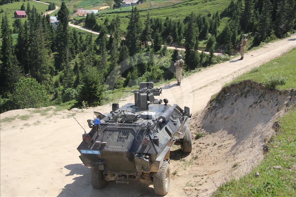 Giresun'da terör operasyonu