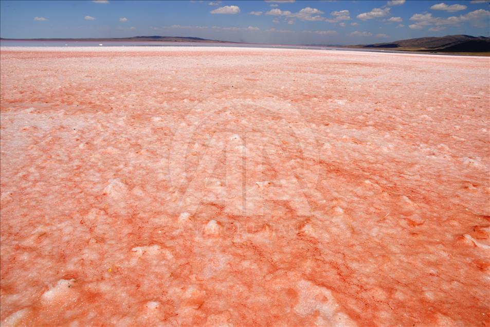 Tuz Gölü'nün "kırmızı beyaz" güzelliği