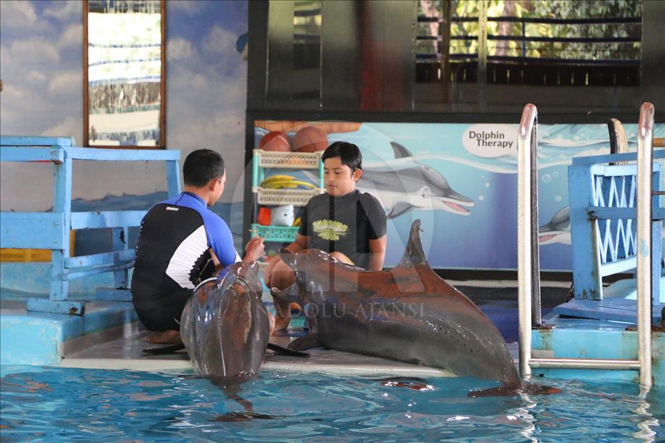 Children suffering from autism get dolphin therapy in Indonesia