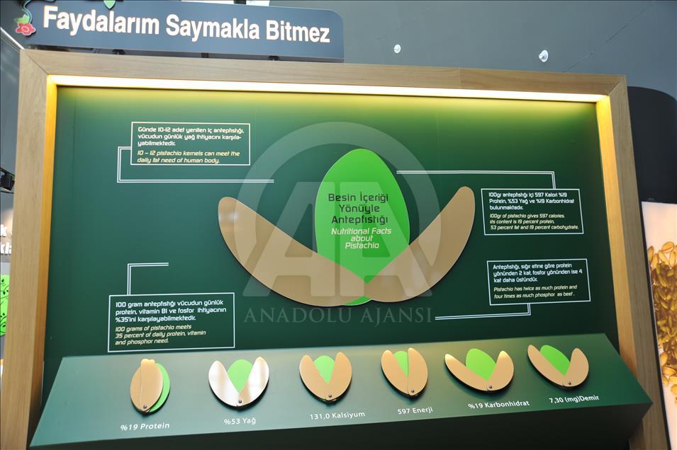 تركيا تنشئ أول متحف لـ"الفستق العنتابي" في العالم
