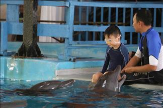 Indonésie: Traiter l’autisme en nageant avec les dauphins