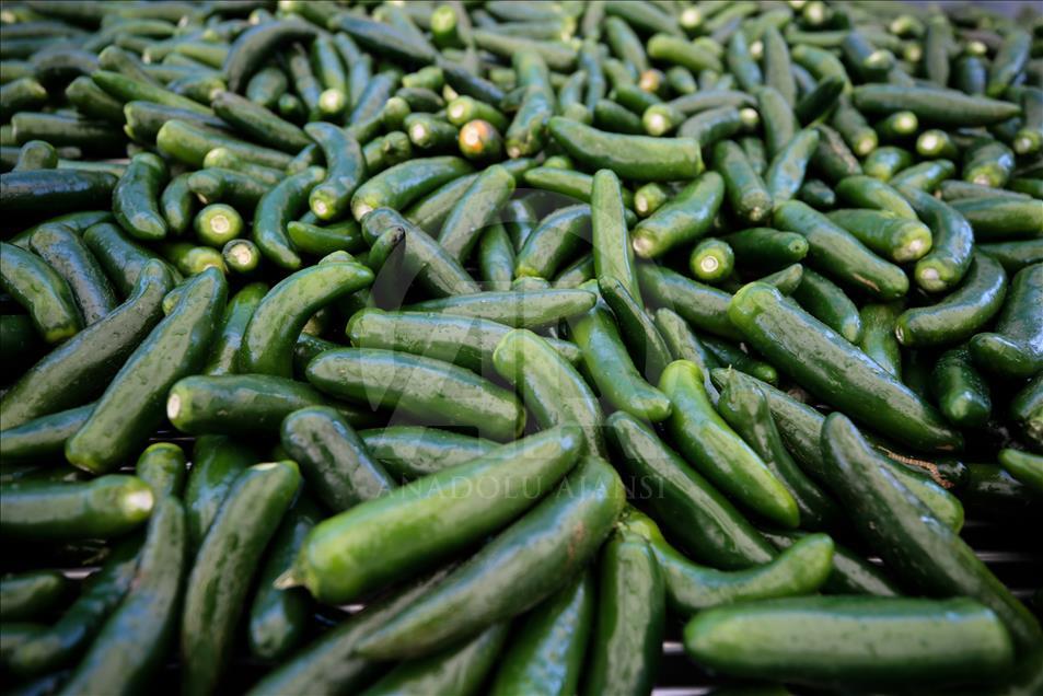 Pizzaların "Meksika biberi" Türkiye'den