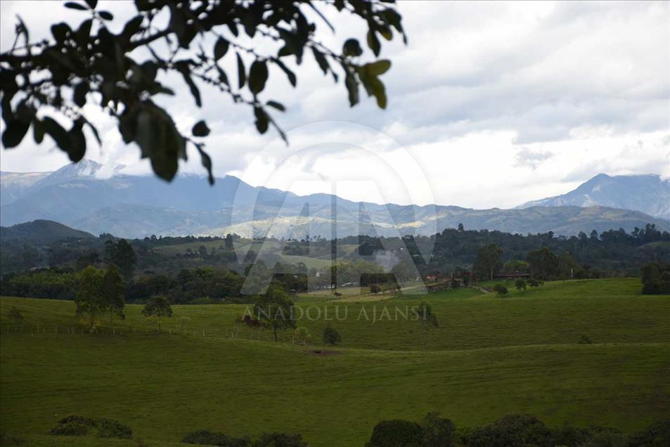 La comunidad nasa fortalece su guardia indígena Colombia