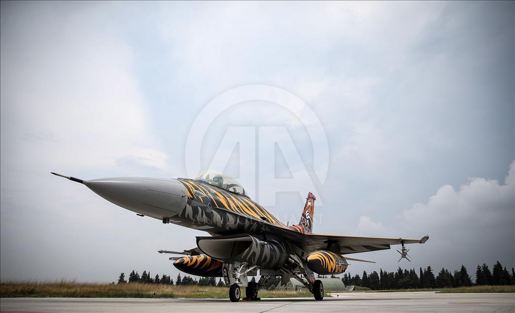Flotilla "Tigre" de la Fuerza Aérea turca