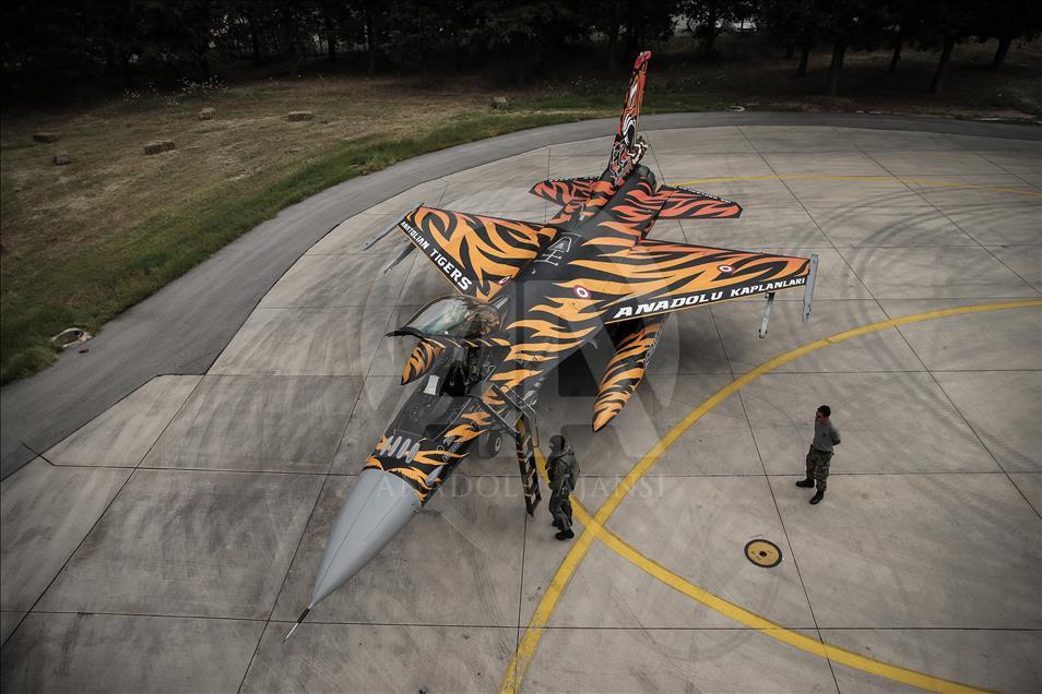 Flotilla "Tigre" de la Fuerza Aérea turca