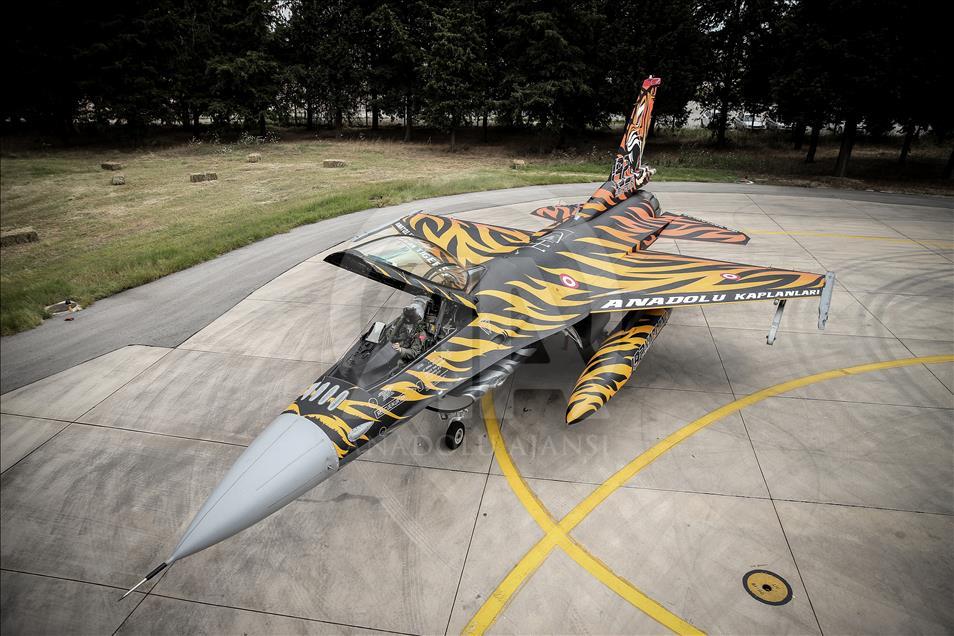 Flotilla "Tigre" de la Fuerza Aérea turca
