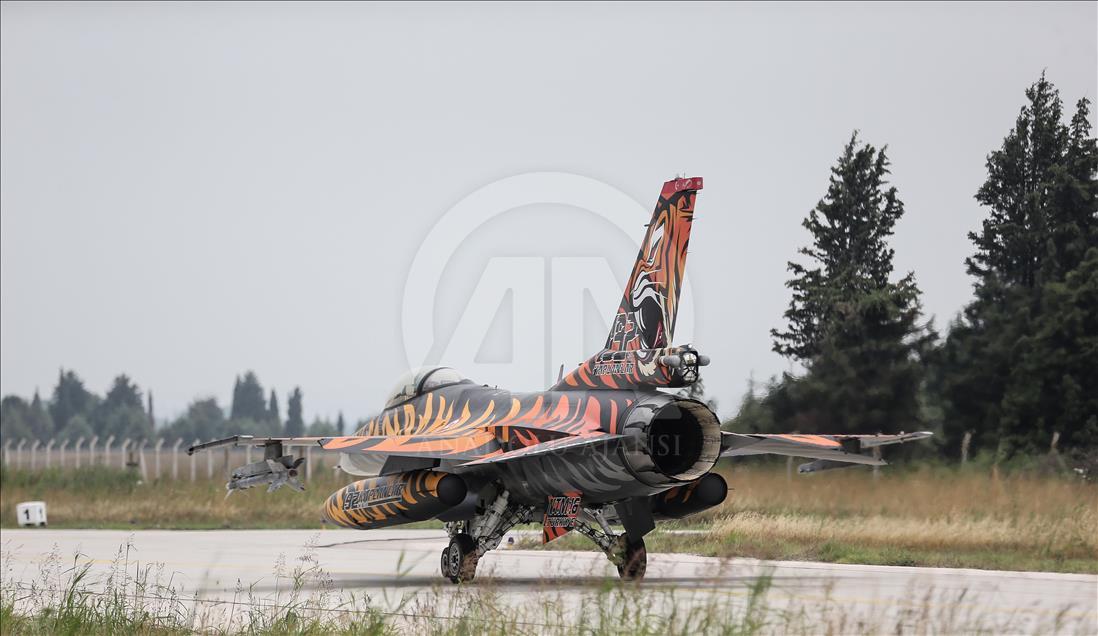 Flotilla "Tigre" de la Fuerza Aérea turca