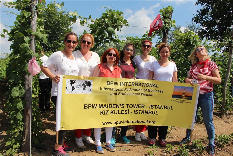 4 kilogram fasulye 360 bin liraya satıldı