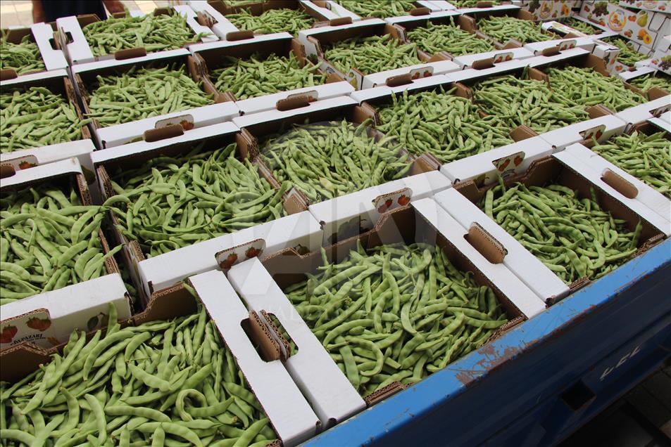 4 kilogram fasulye 360 bin liraya satıldı