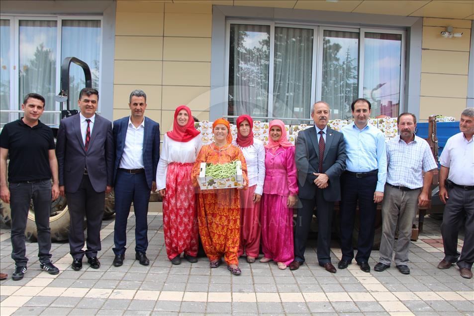 4 kilogram fasulye 360 bin liraya satıldı