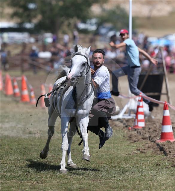 "3. Türk Dünyası Ata Sporları Şenliği"