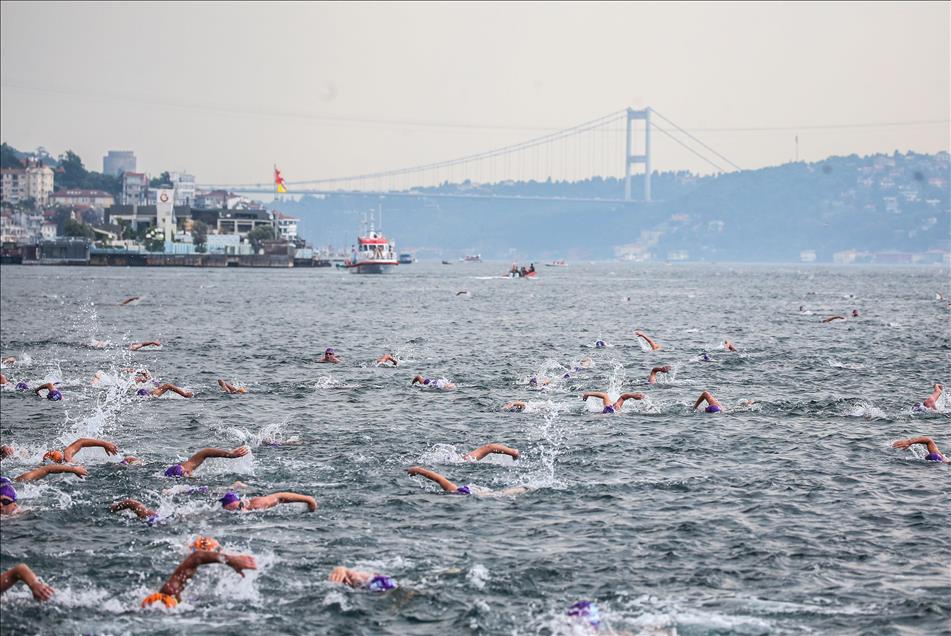سی‌امین دوره مسابقه شنای بین‌قاره‌ای در استانبول