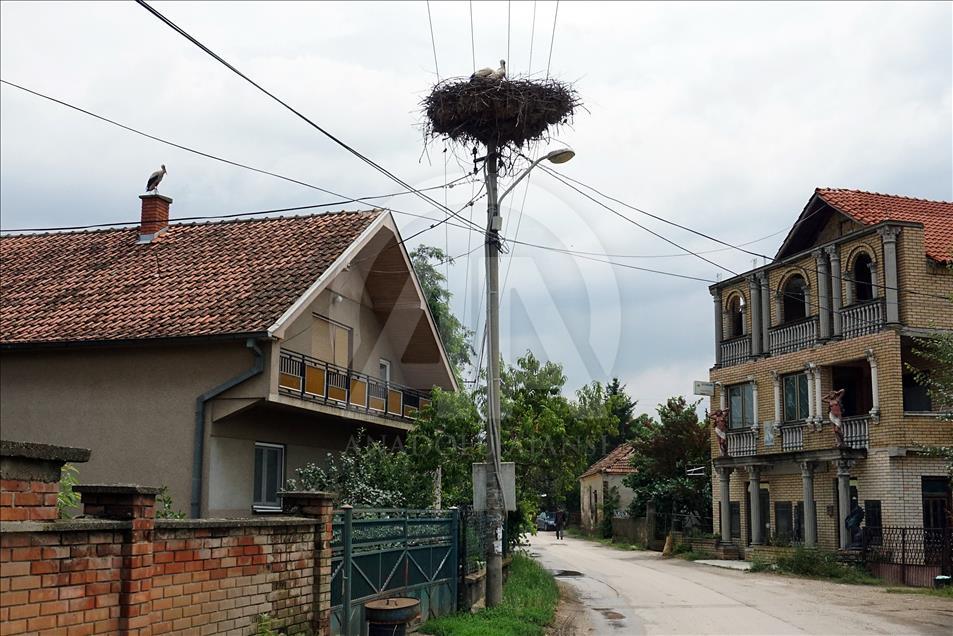 عائلة لقلق مصدر سعادة لسكان بلدة صربية منذ 13 عاما
