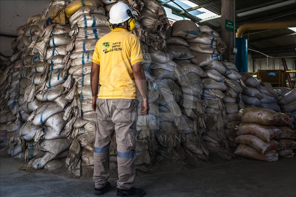 GOLD MINE IN COLOMBIA