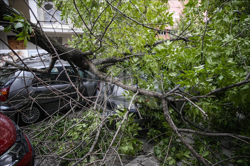 Başkentte ağaçlar park halindeki araçların üzerine devrildi