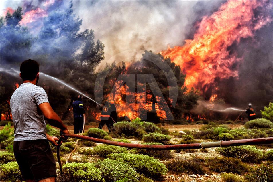 Yunanistan'daki orman yangınları sürüyor