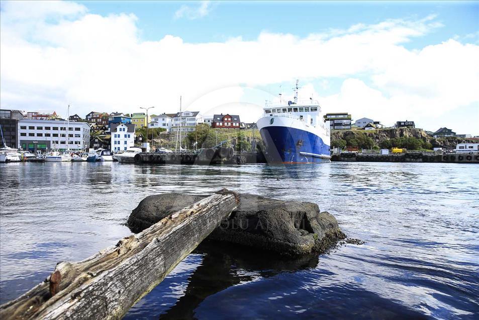 Islas Faroe, el 'país de las cabras'