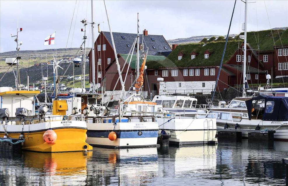 Islas Faroe, el 'país de las cabras'
