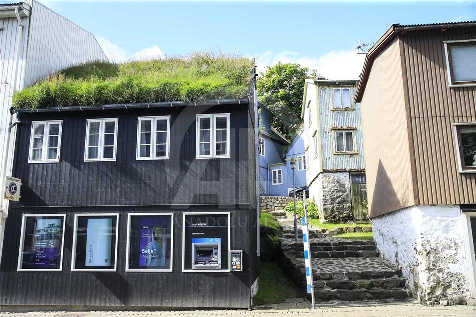 Islas Faroe, el 'país de las cabras'