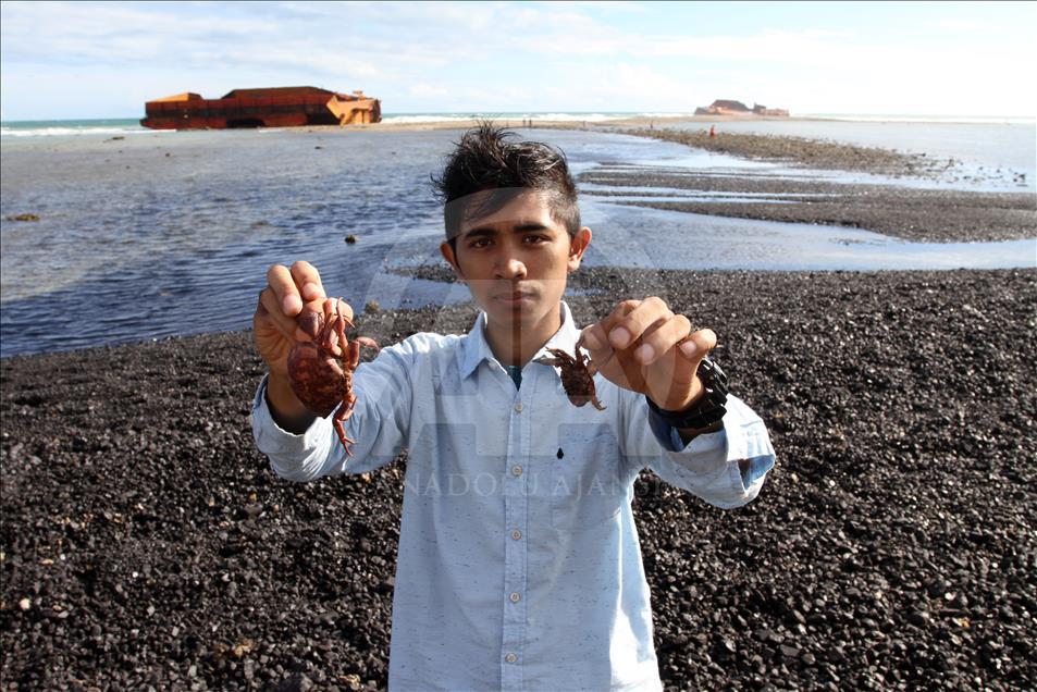 Tumpahan Batu Bara Cemari Pantai Di Aceh Anadolu Ajansı