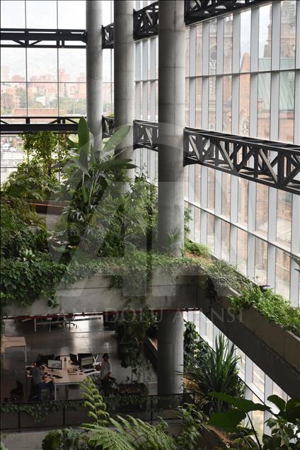 Mattelsa, la mejor empresa para jóvenes profesionales en Colombia