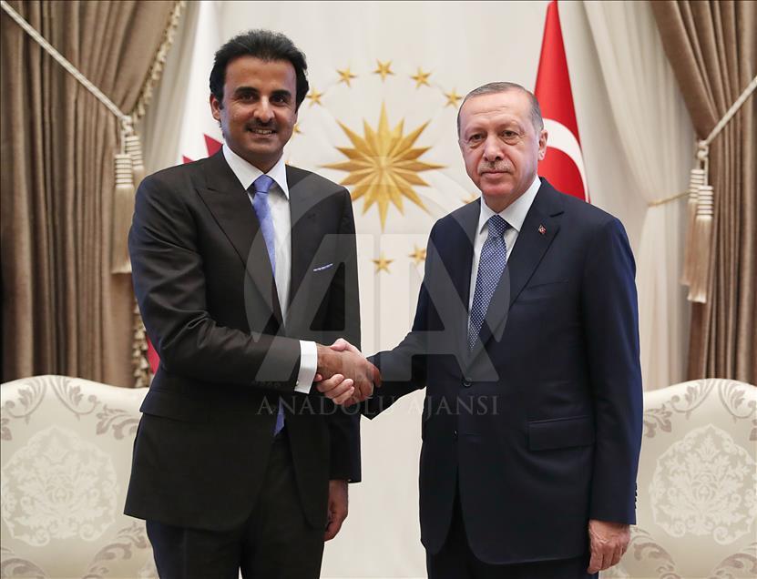 Katar Emiri Şeyh Temim bin Hamed Al Sani, Türkiye'de