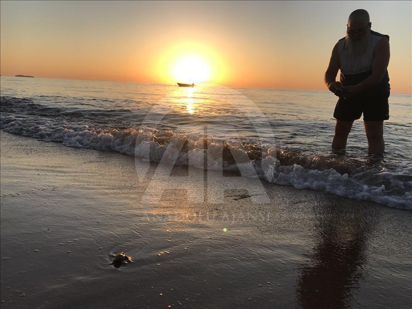 شواطئ أنطاليا التركية تودّع صغار سلاحف "كاريتا" إلى منازلها
