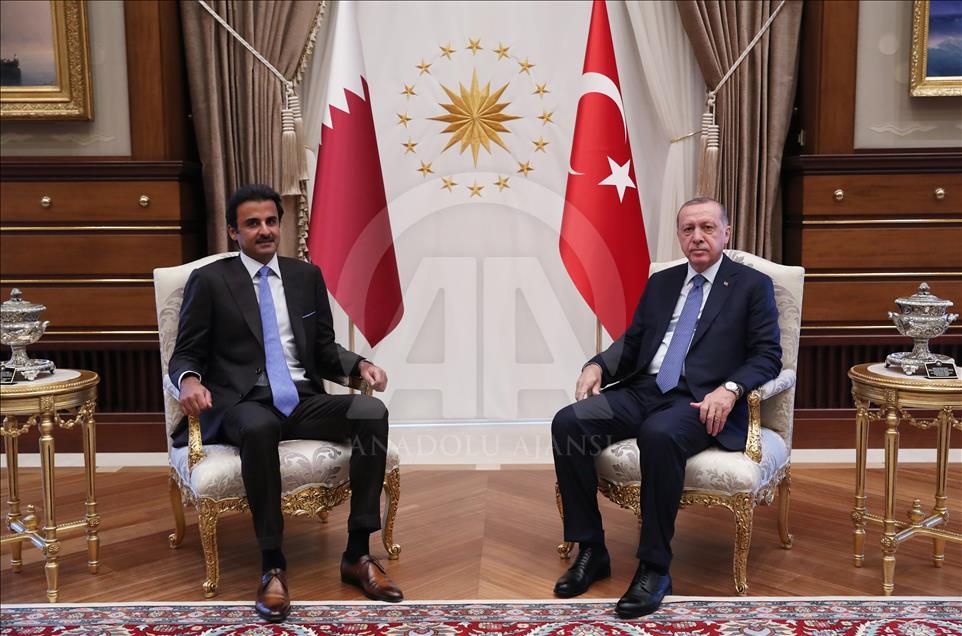 Katar Emiri Şeyh Temim bin Hamed Al Sani, Türkiye'de