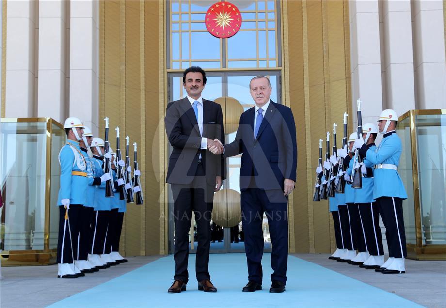 Katar Emiri Şeyh Temim bin Hamed Al Sani, Türkiye'de