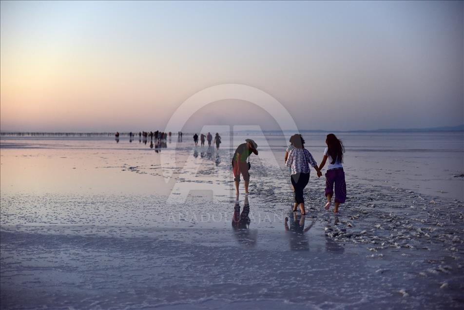 استقبال گردشگران از بهشت فلامینگوها در آق‌سرای ترکیه
